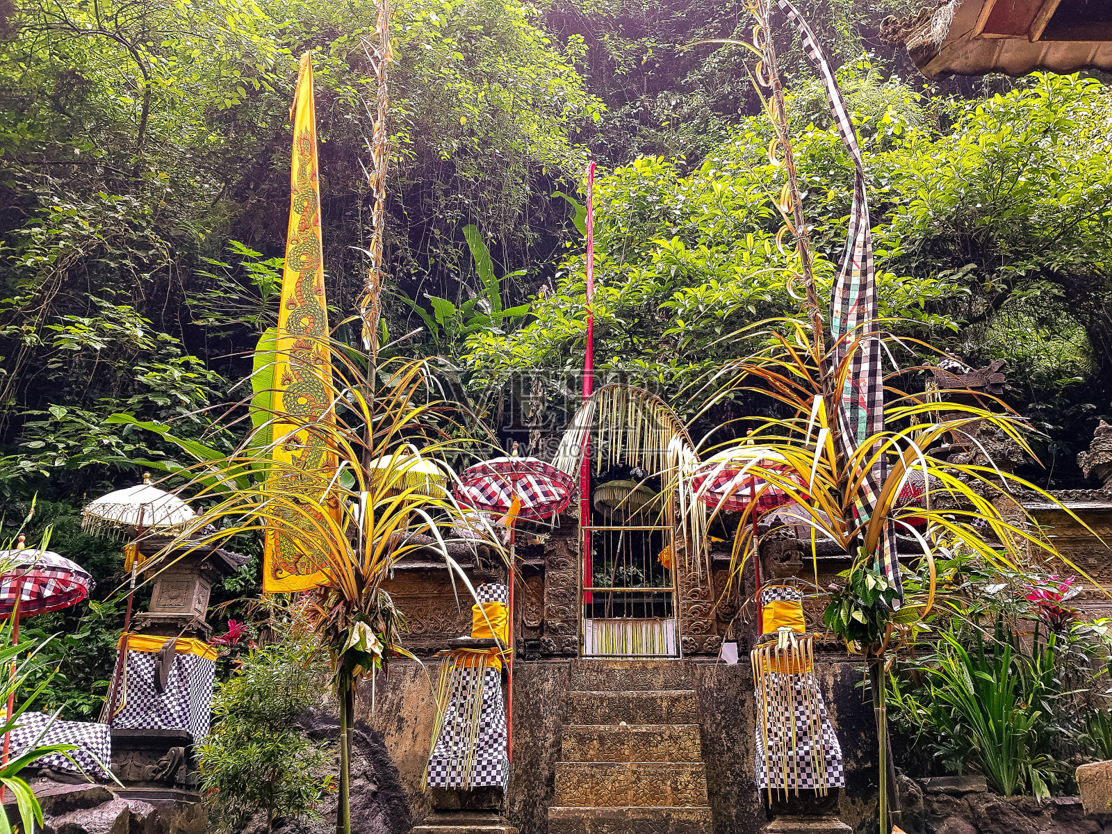 森林里的亚洲房子照片摄影图片