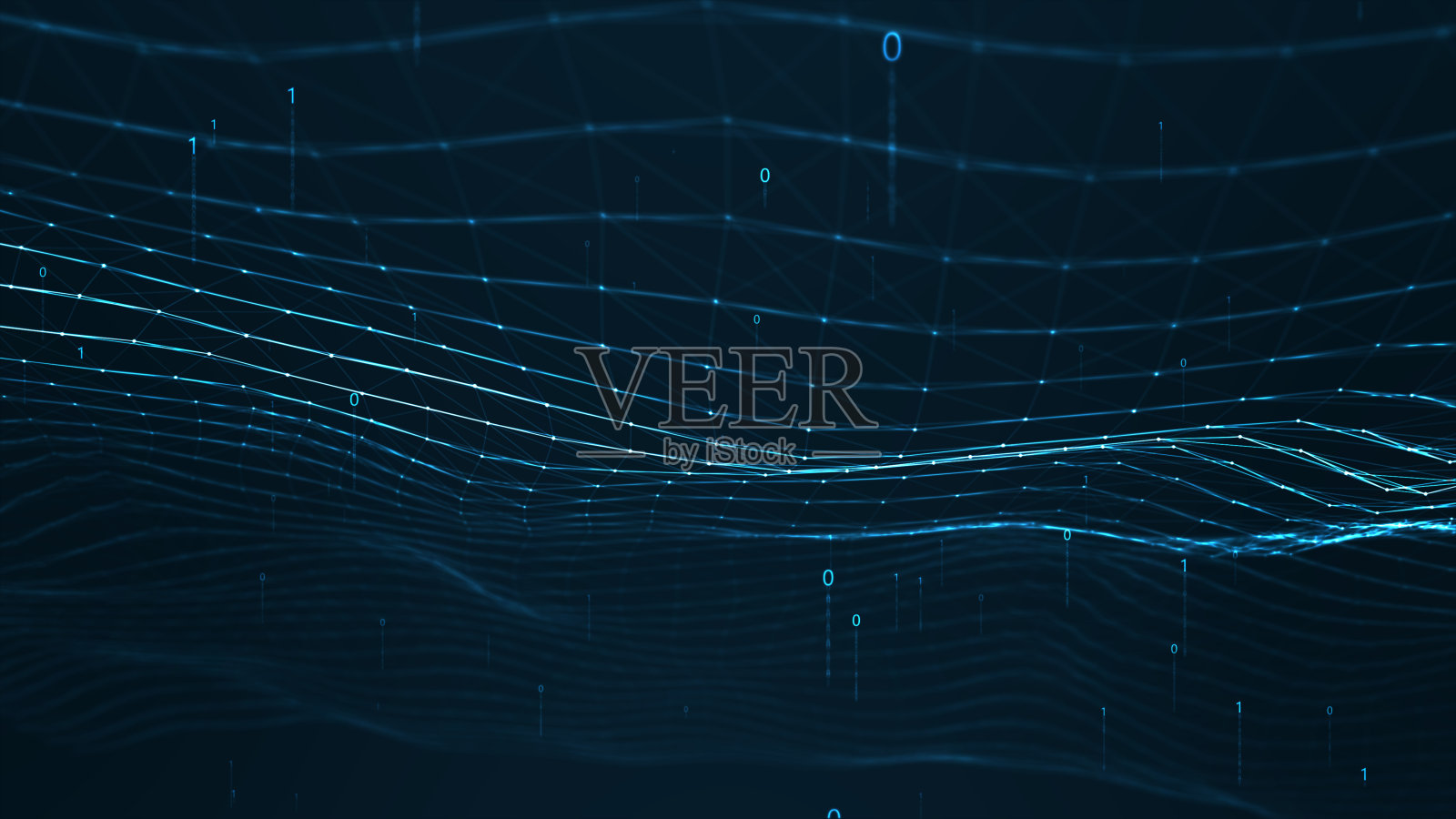 技术丛网络概念。照片摄影图片