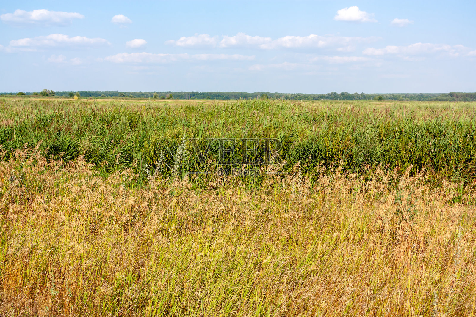 草原国家风景照片摄影图片