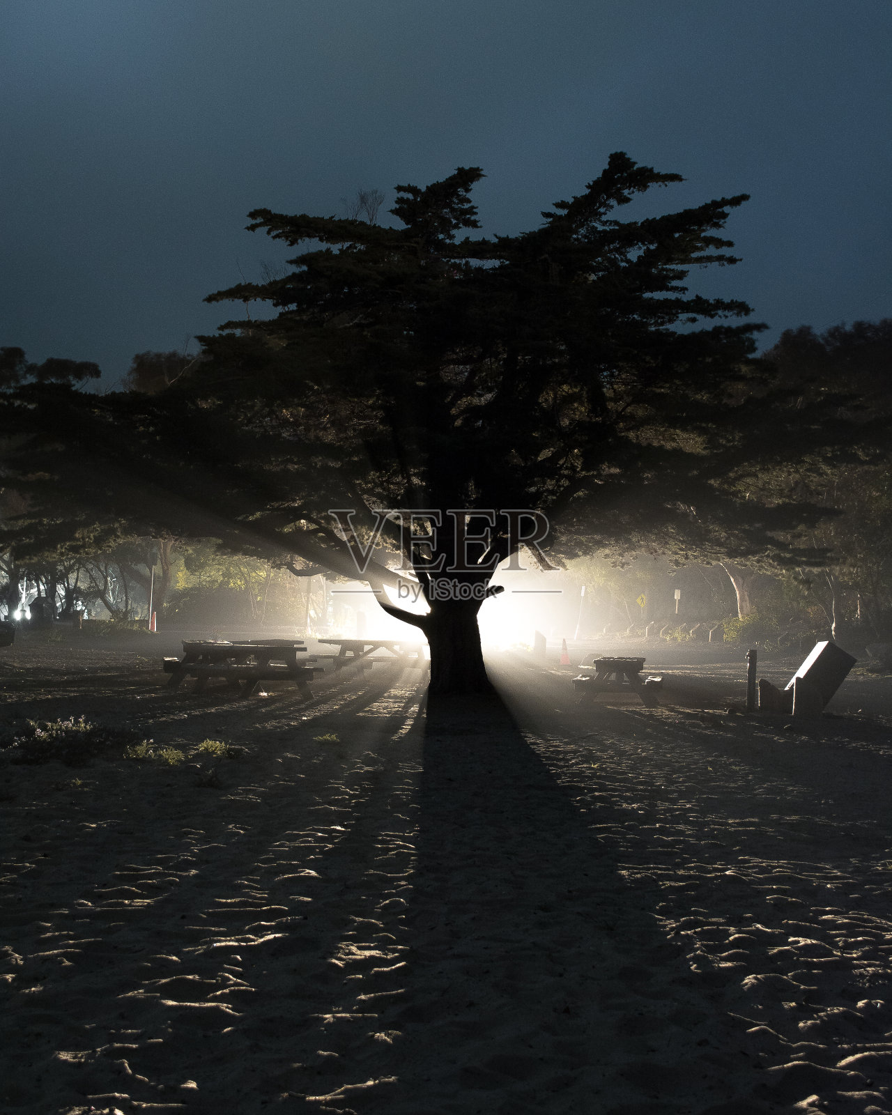 电影照片摄影图片