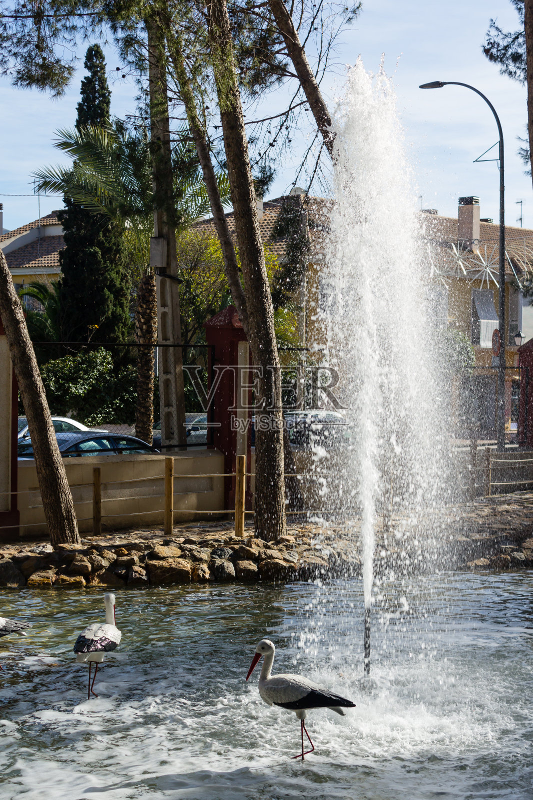 喷泉背景上的装饰苍鹭照片摄影图片