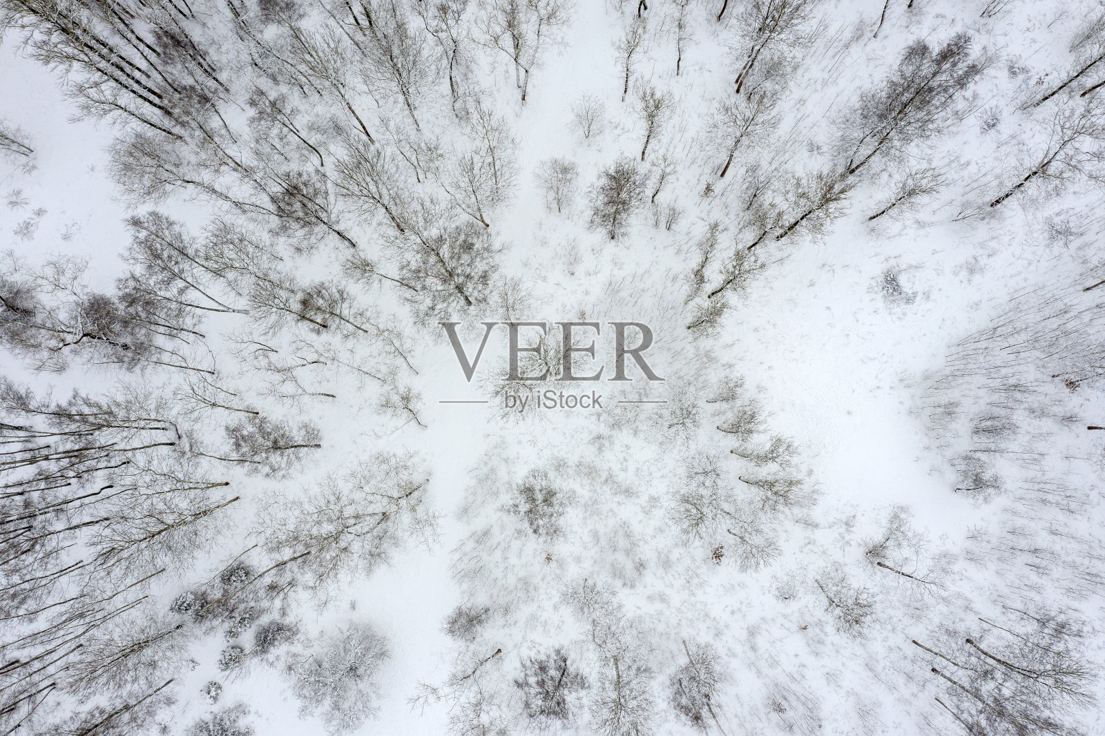 冬季森林的鸟瞰图。冬天的风景照片摄影图片