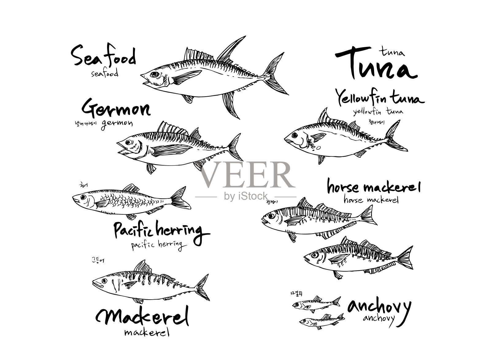 食品菜单插图插画图片素材