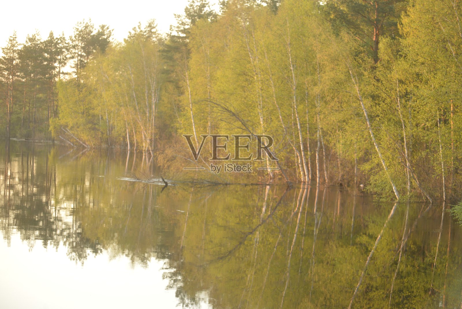 在俄罗斯普拉河的木板上照片摄影图片