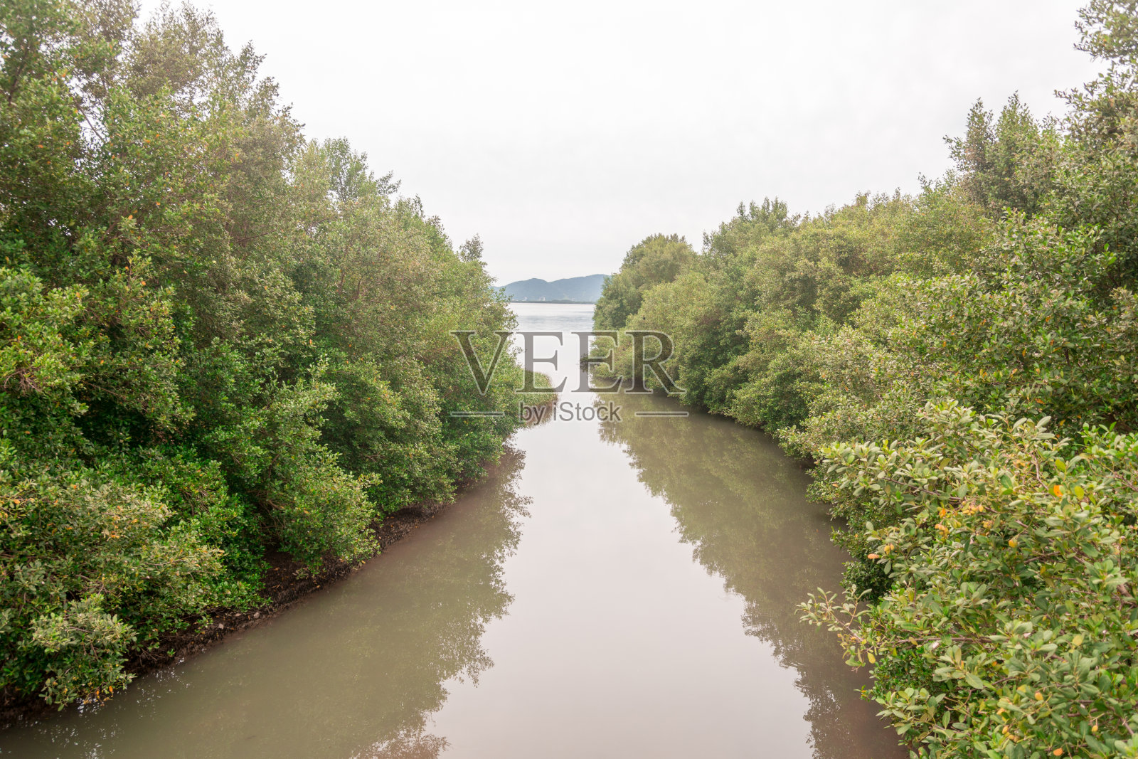 在巴西弗洛里亚诺波利斯的坎佩切海滩附近的河口的全景。照片摄影图片