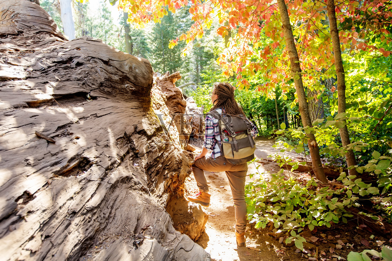 美国加利福尼亚州红杉附近的约塞米蒂国家公园里的一名妇女照片摄影图片