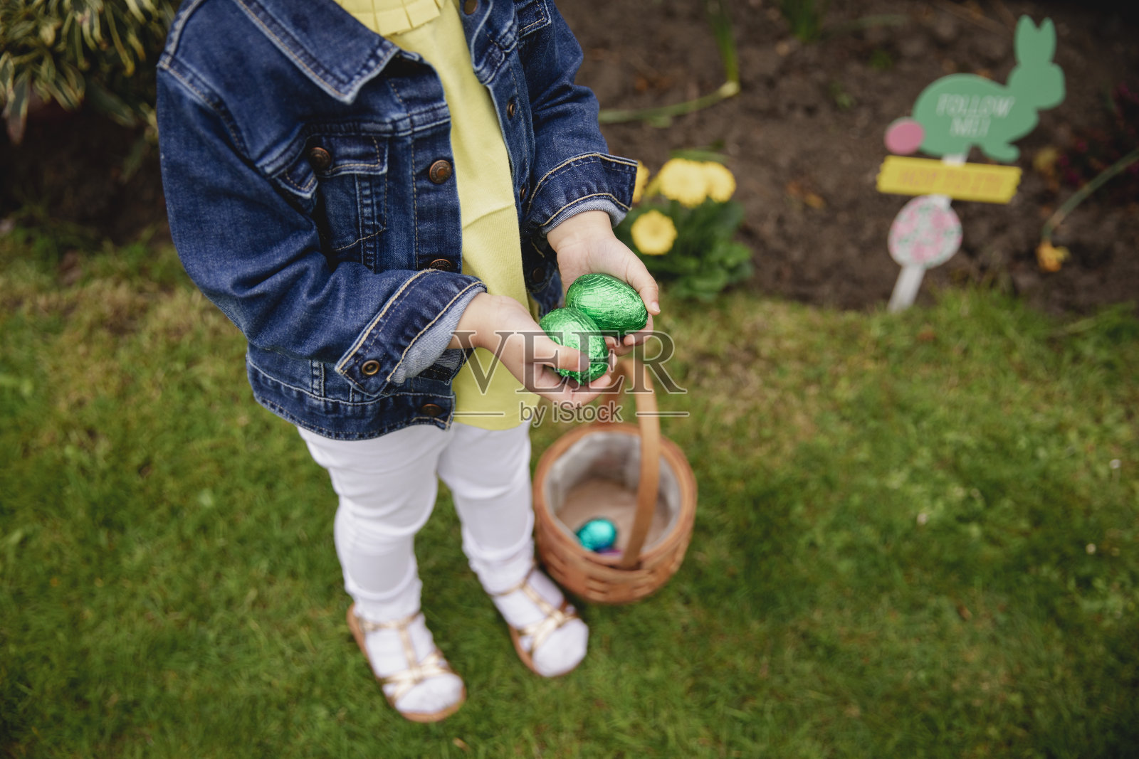 看我发现了什么!照片摄影图片