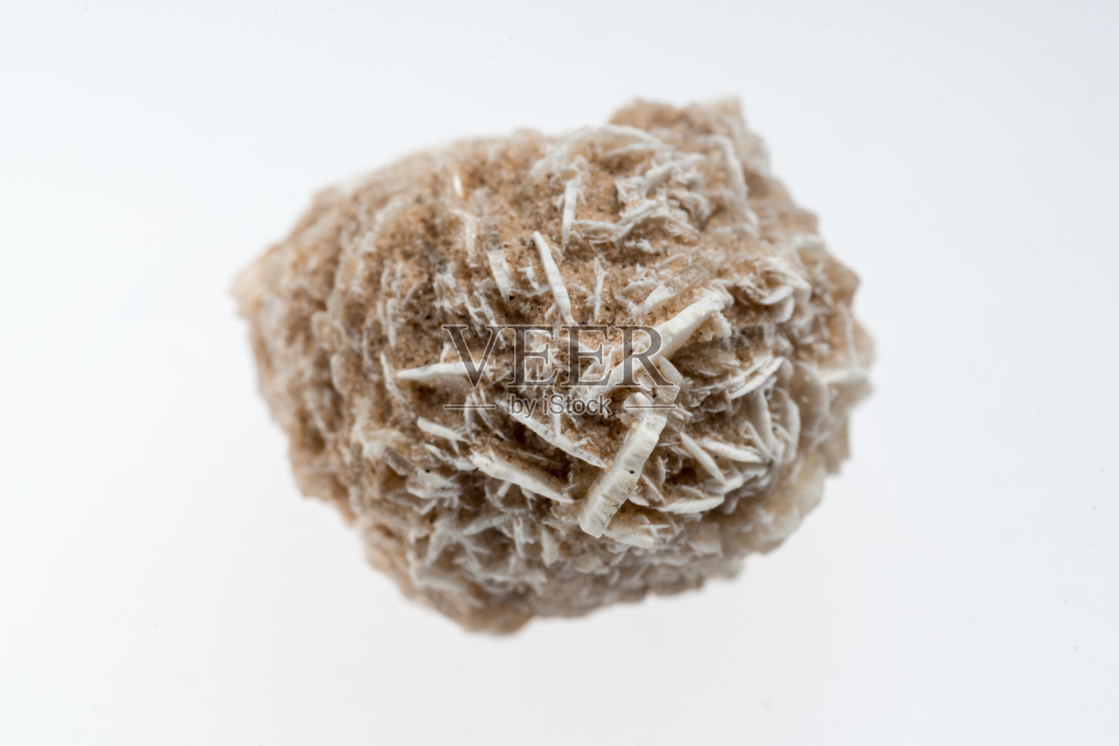 沙漠玫瑰岩矿物石头样品与白色背景照片摄影图片