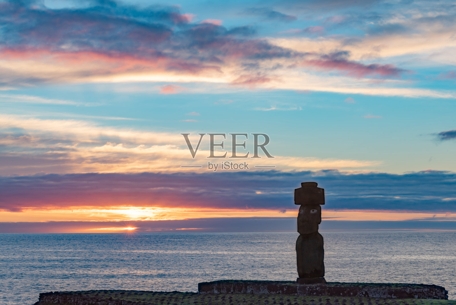 黄昏在恐鸟照片摄影图片