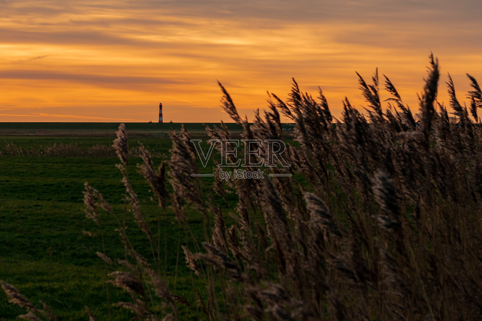 灯塔韦斯特赫弗照片摄影图片