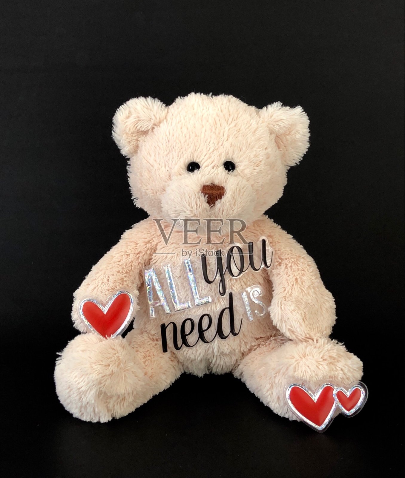 情人节的泰迪照片摄影图片