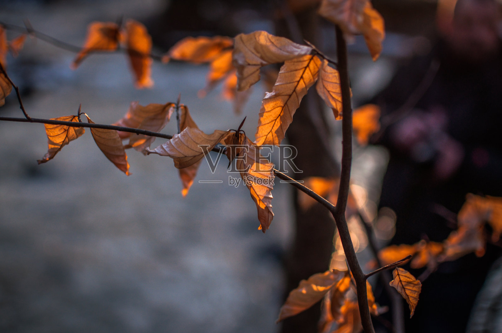 春天的山河照片摄影图片