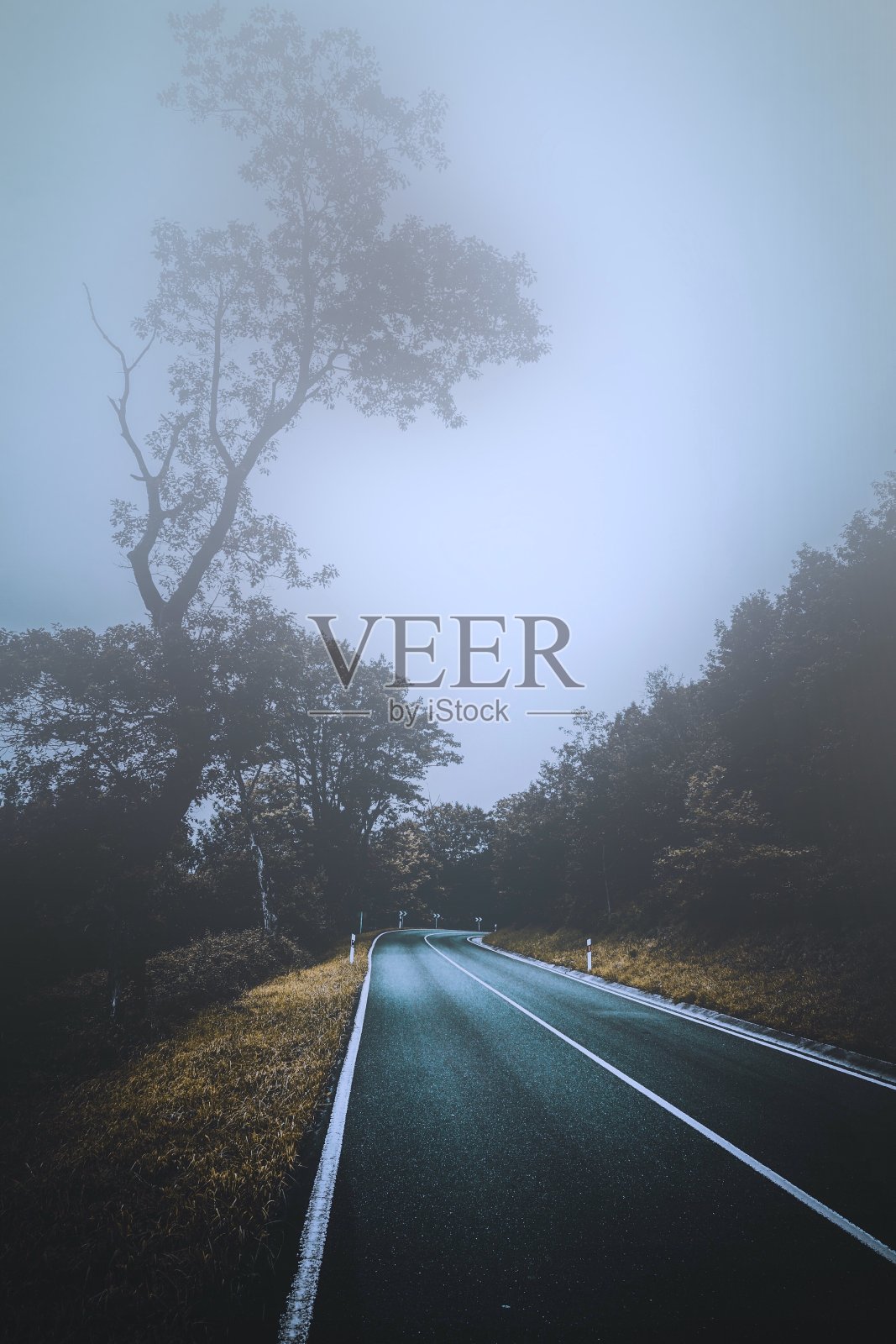 路在森林里，树在山上照片摄影图片