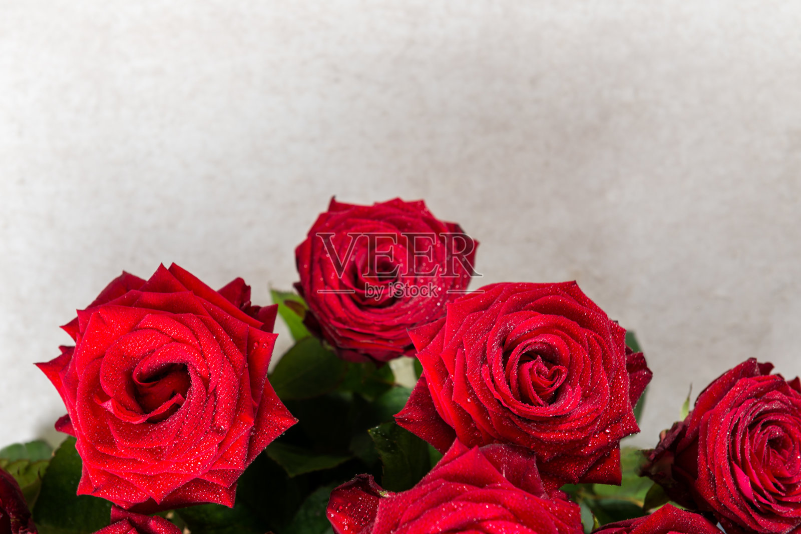 情人节的一束红玫瑰照片摄影图片