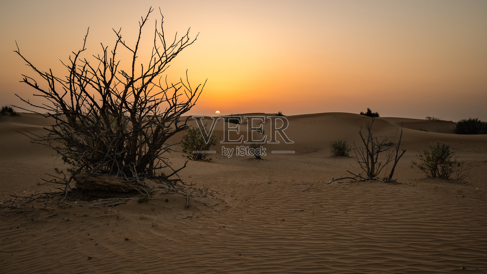 红色沙漠沙丘照片摄影图片