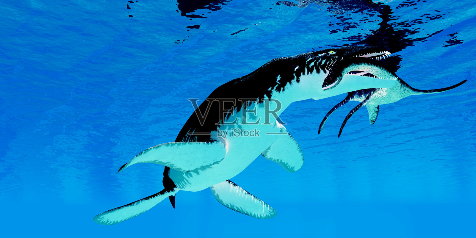 Liopleurodon捉蛇颈龙照片摄影图片