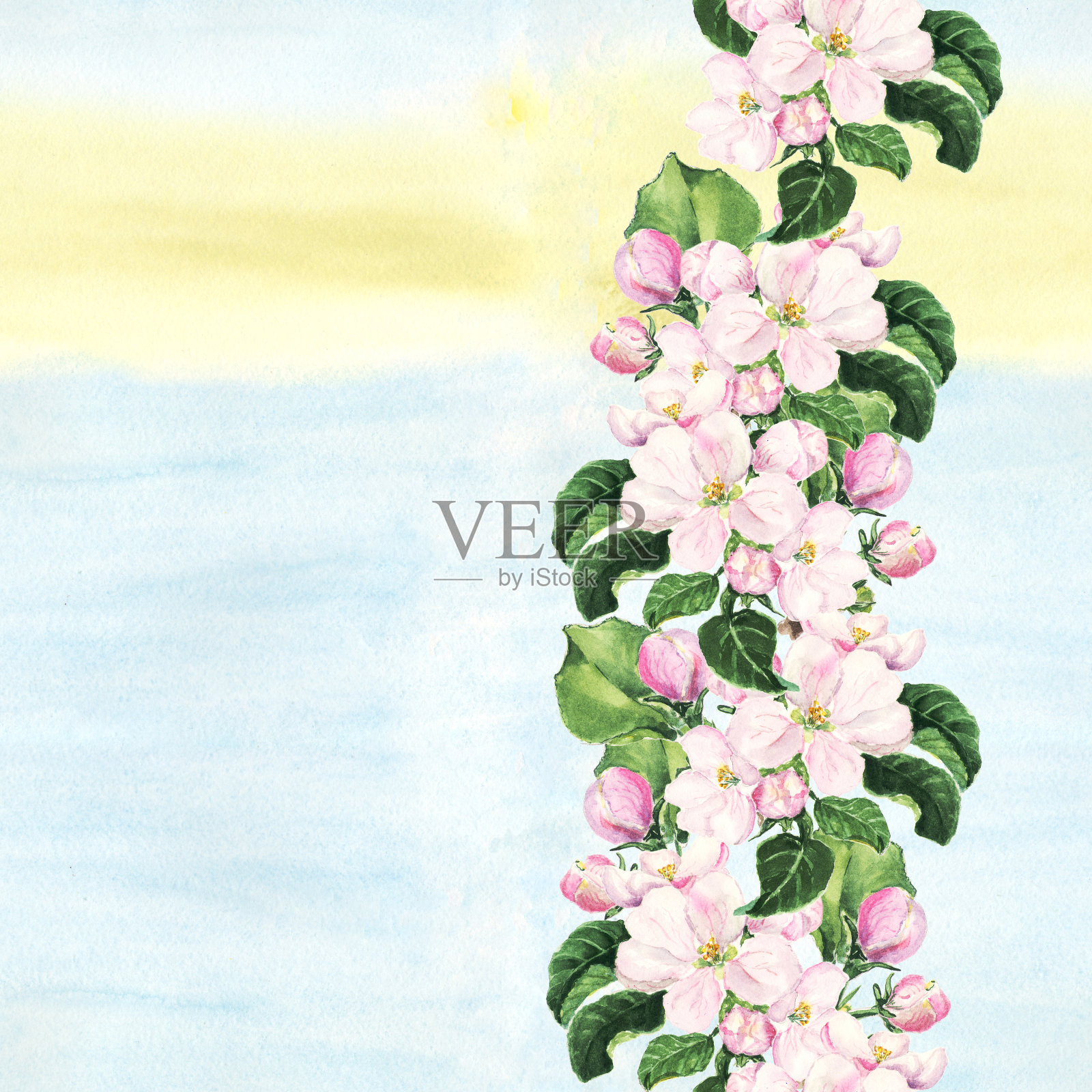 苹果的粉红色的花。无缝的边界。植物水彩画上彩色的背景边缘插画图片素材