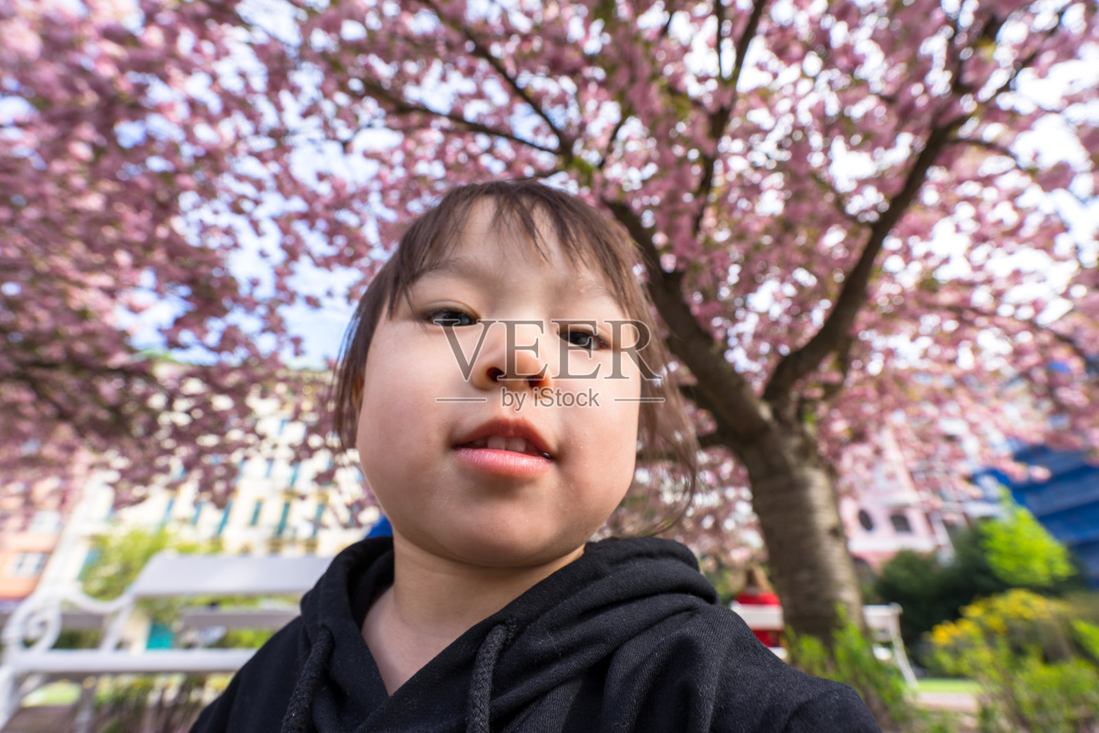 树下有一个小女孩照片摄影图片