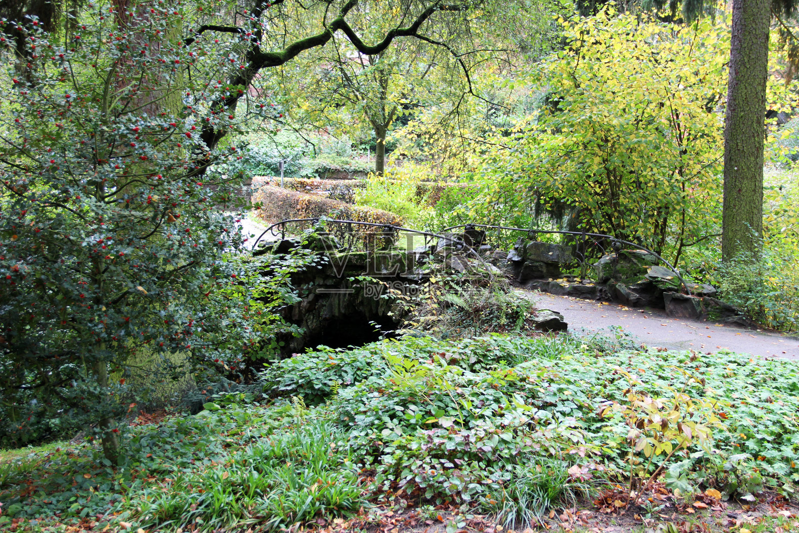 德国威斯巴登黑森公园的自然景观照片摄影图片