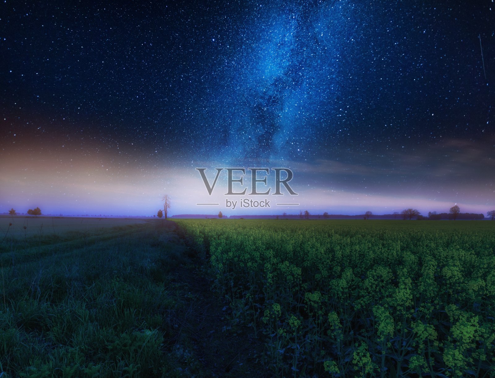 繁星点点的夜空，点缀着油菜籽盛开的田野照片摄影图片