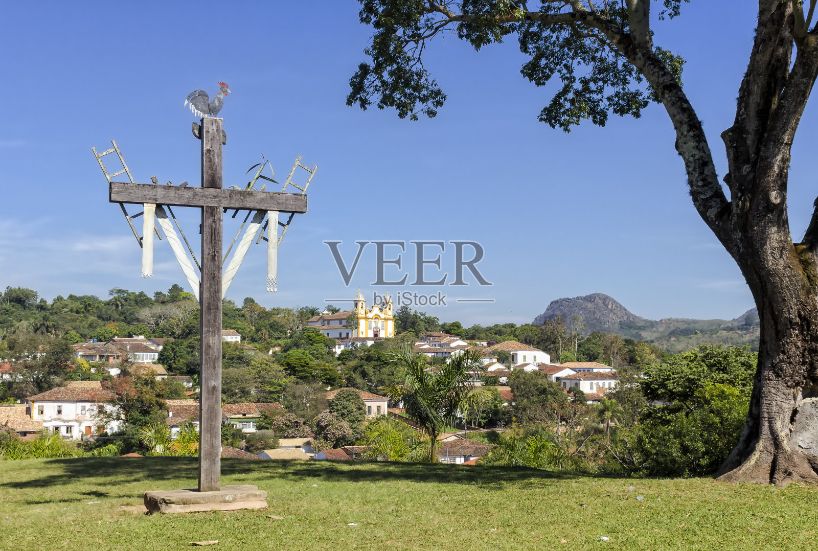 田野上的树木顶着天空照片摄影图片