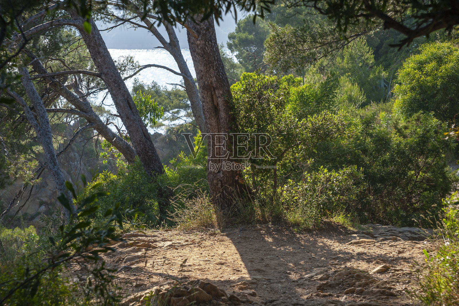 拉文杜拉耶特角的景观照片摄影图片