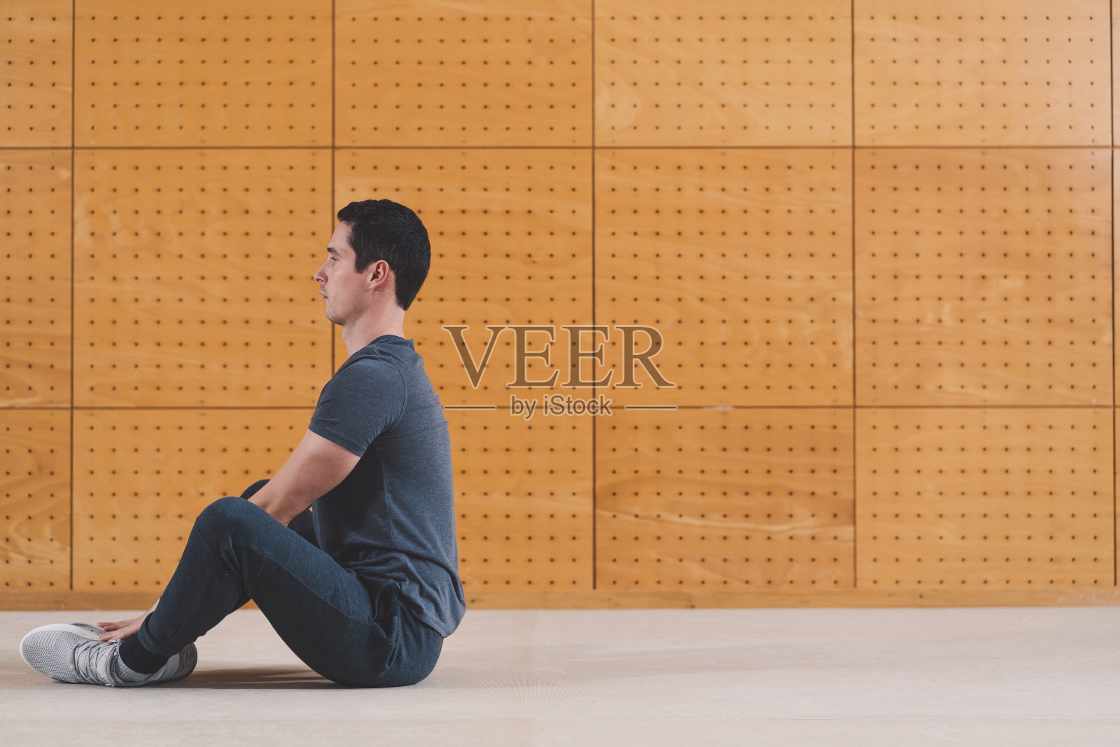 蝴蝶的腿是从照片摄影图片