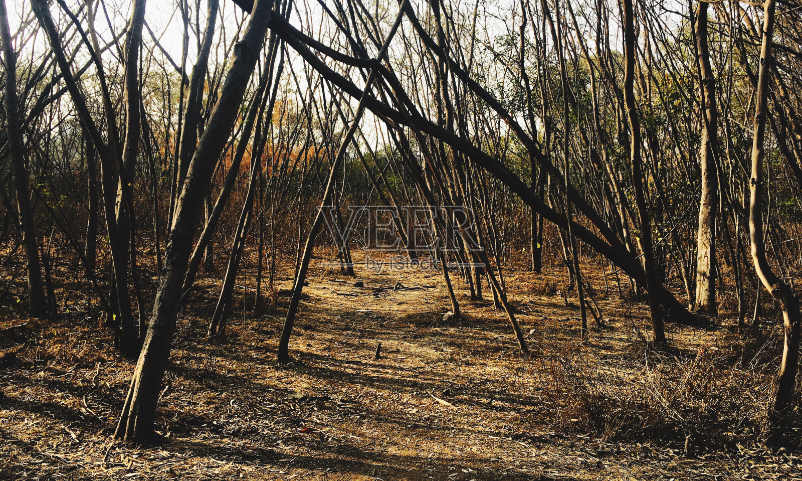 平静的空无一人的道路照片摄影图片