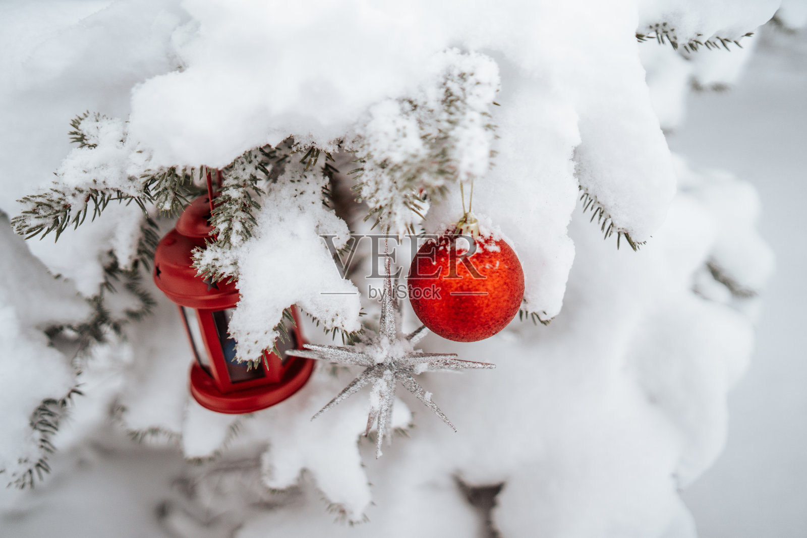 期待圣诞节照片摄影图片