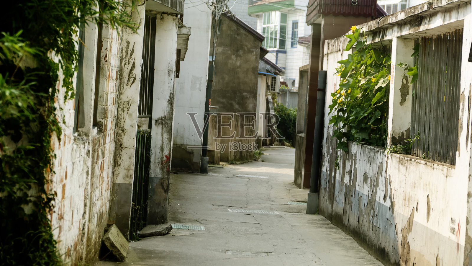 金山嘴渔村是上海沿海地区最早的渔村照片摄影图片