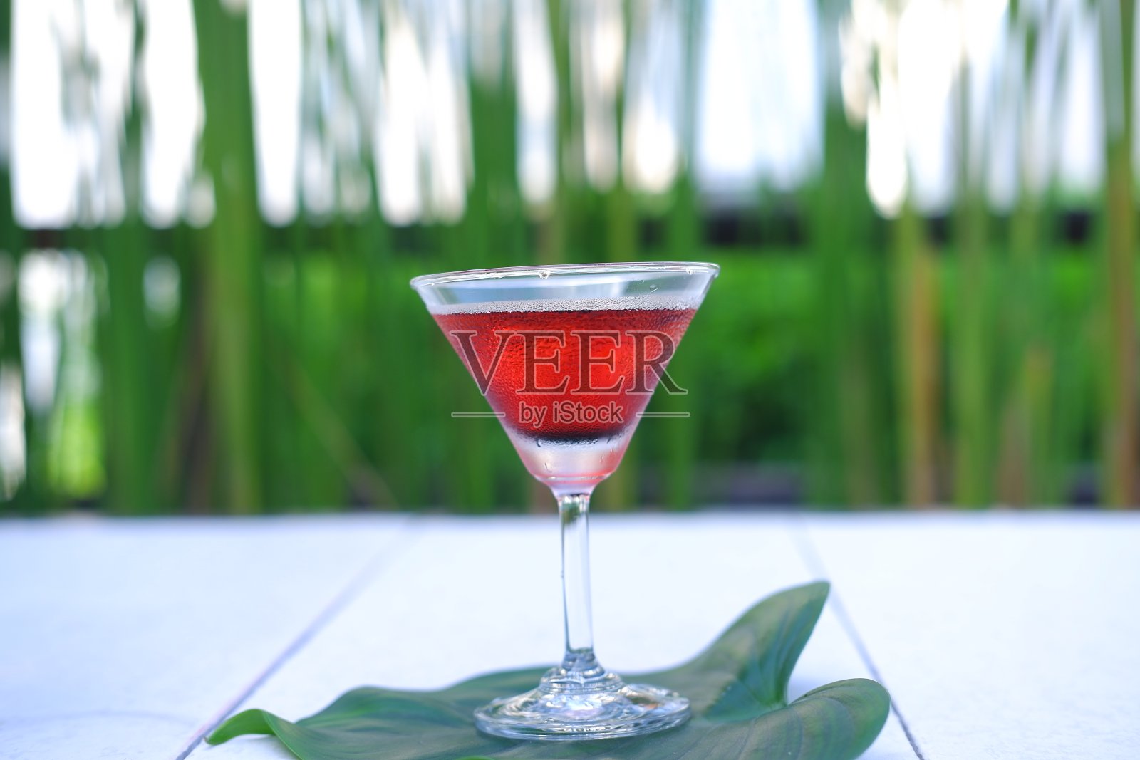 马提尼鸡尾酒照片摄影图片