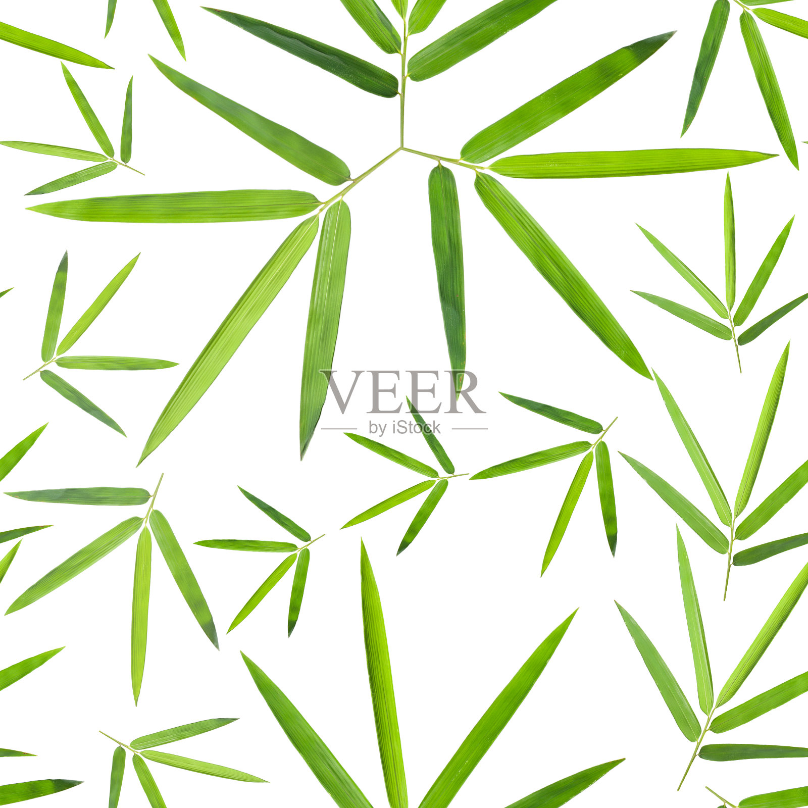 无缝竹叶收集照片摄影图片