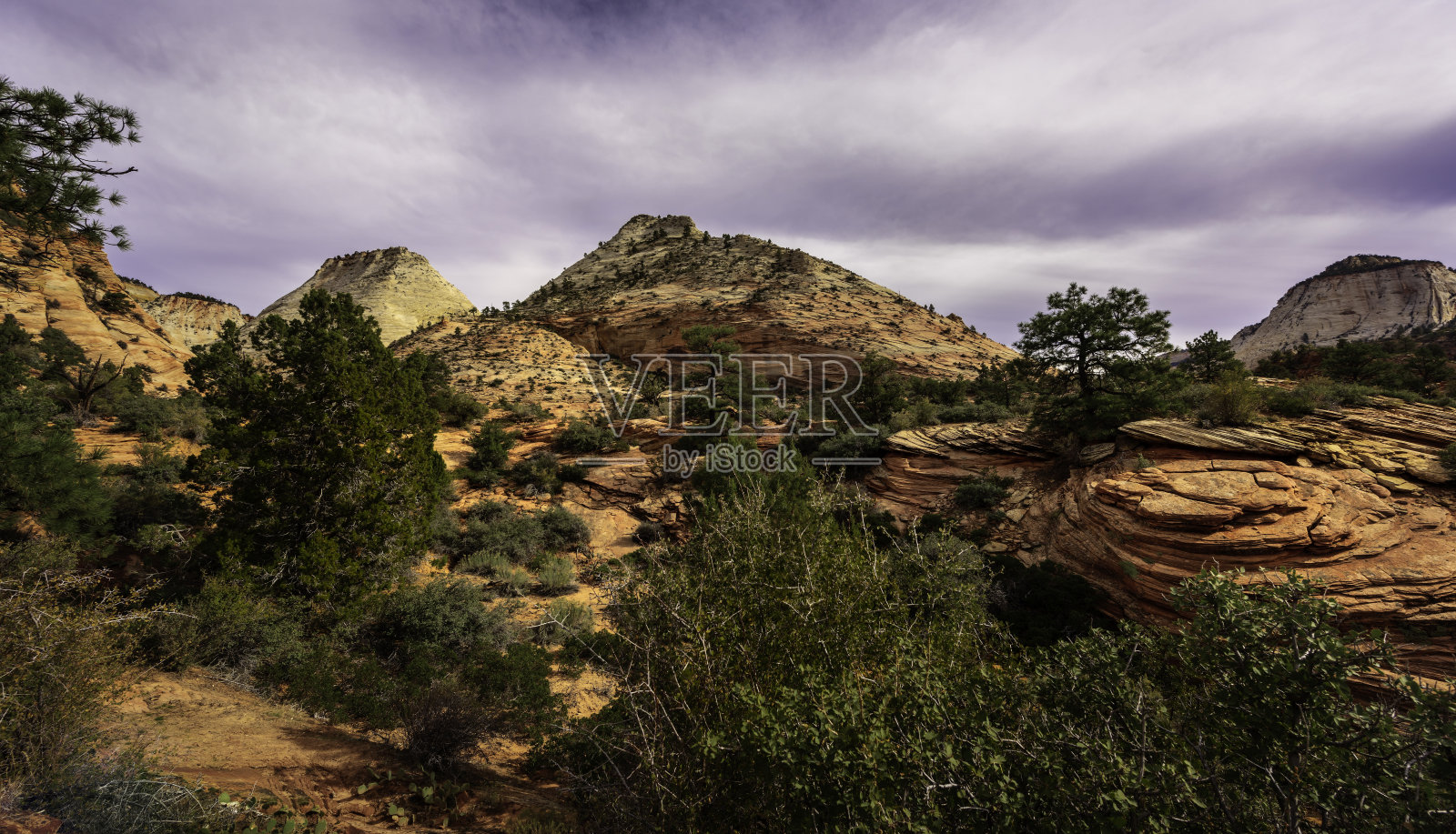 锡安国家公园拥有美丽和壮观的山景，是最受欢迎的公园目的地之一照片摄影图片