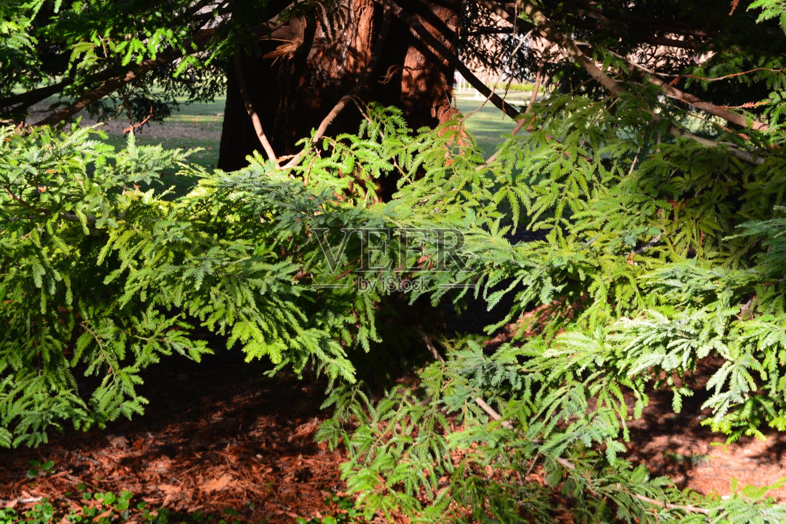 法国地区照片摄影图片