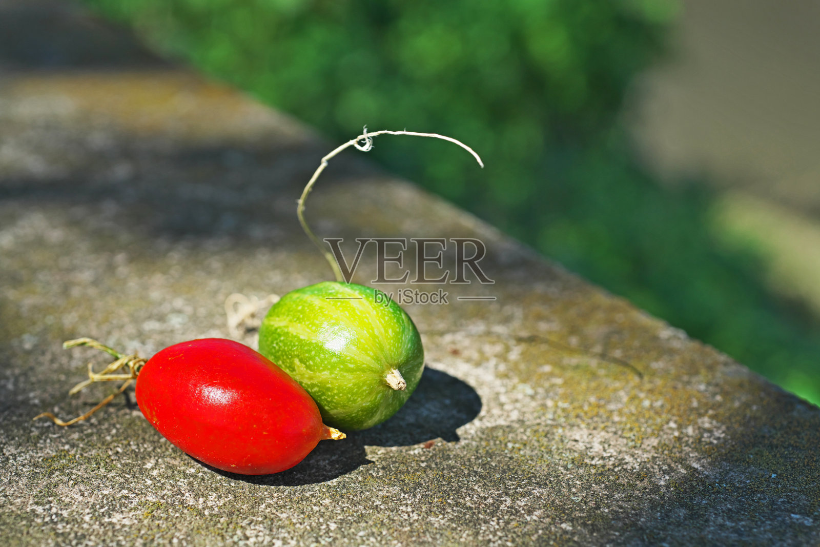 特里乔桑特斯库库姆诺德照片摄影图片