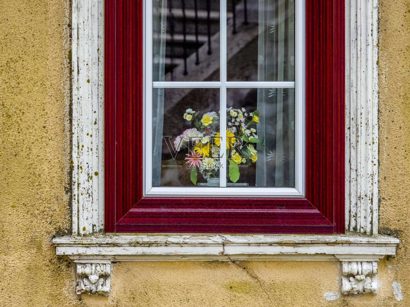 奥地利的莫斯维尔特尔梨产区照片摄影图片
