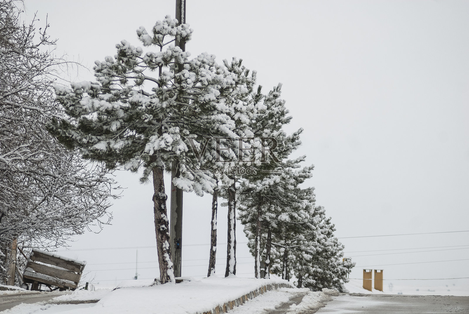 冬天,雪,风景照片摄影图片