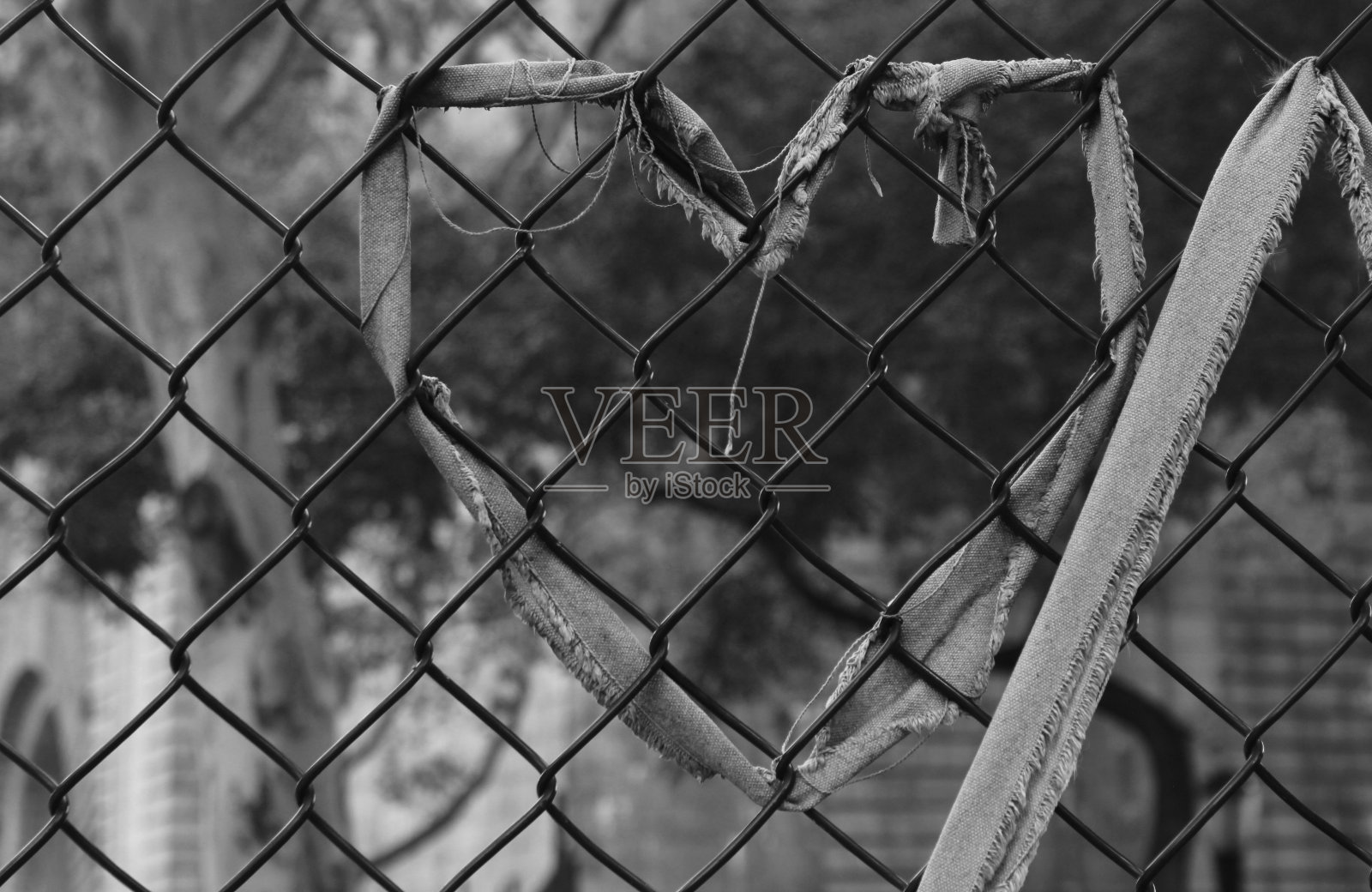 重开照片摄影图片