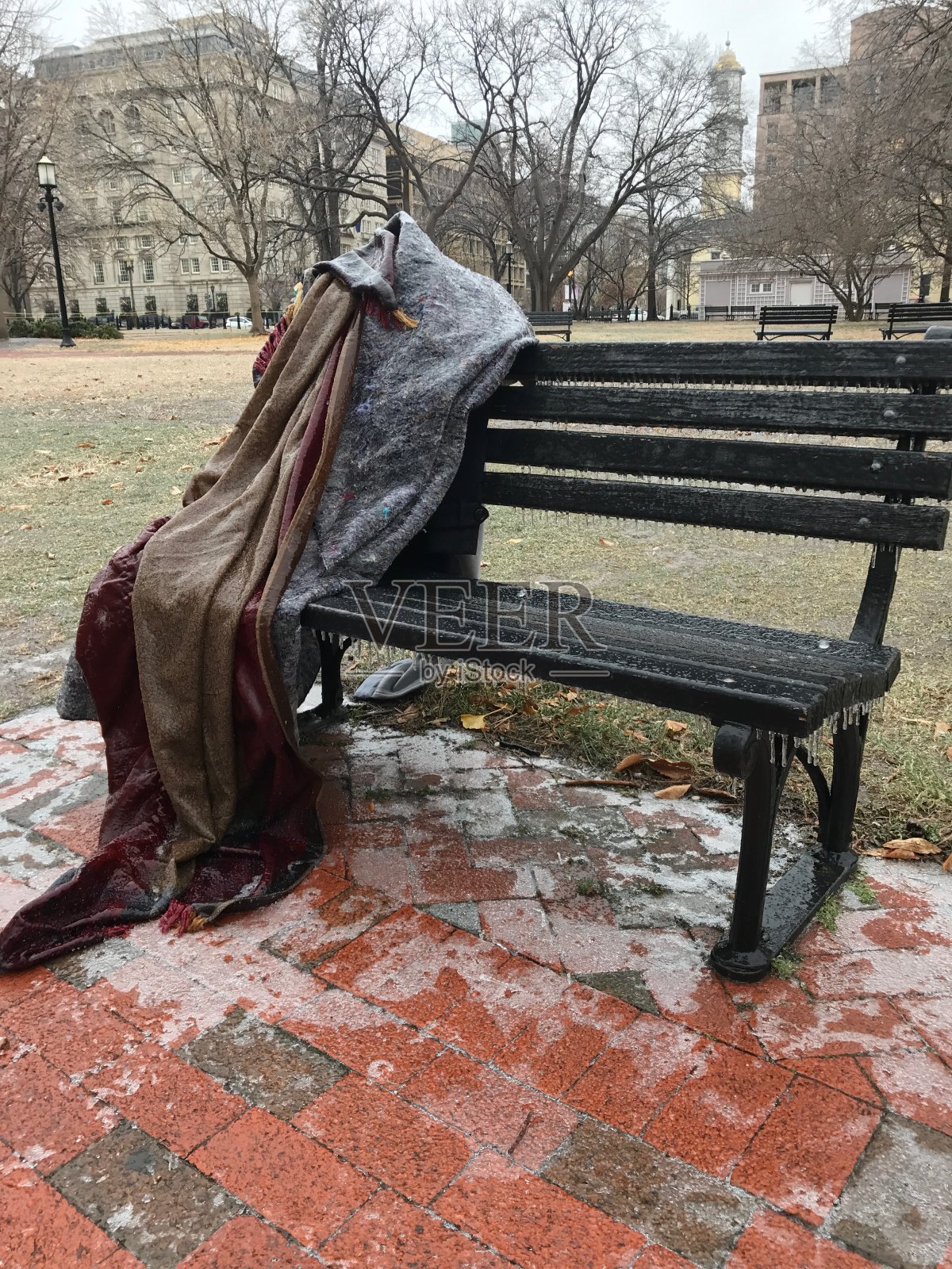 美国人的生活。冬天/冷雨后的早晨。冻结成人形状的毯子照片摄影图片