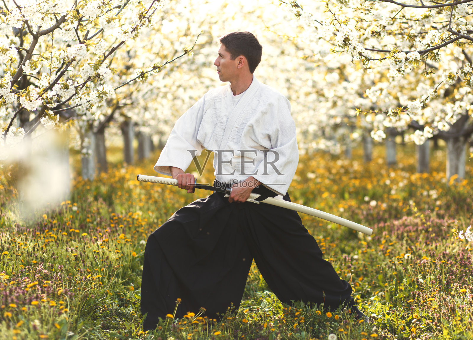 年轻的武术家在果园里拿着武士刀。照片摄影图片