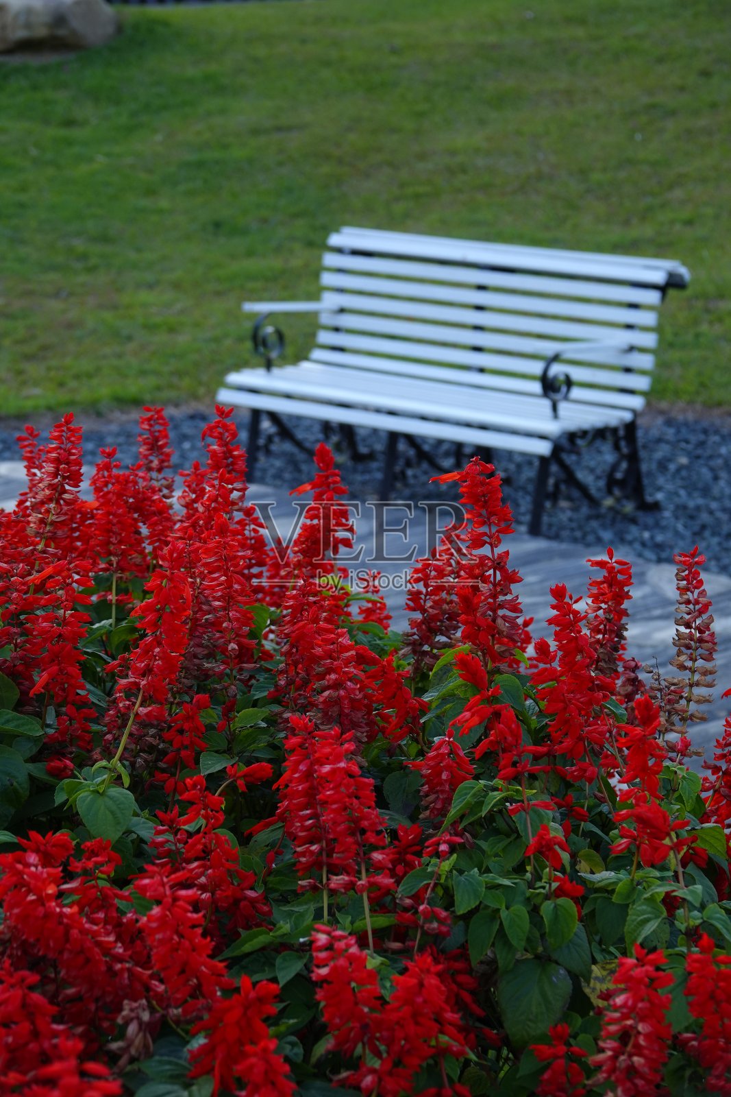 公园里空荡荡的长椅休息照片摄影图片
