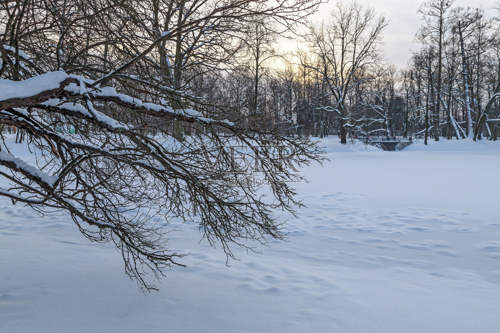 冬天的风景。白雪覆盖的公园在寒冷的冬天。树枝上有雪。桥在结冰的池塘上。照片摄影图片