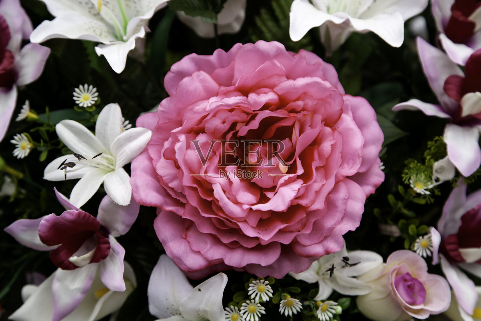 花园里的花照片摄影图片