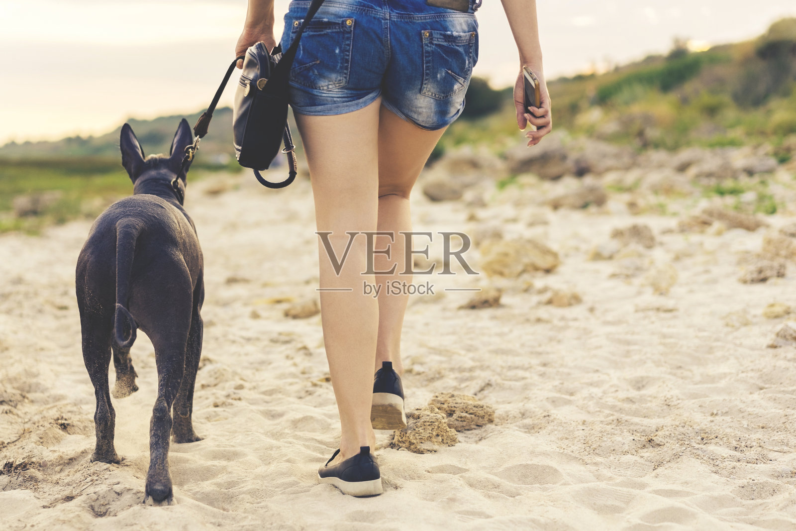 日落时分，小女孩和她的狗在沙滩上散步照片摄影图片