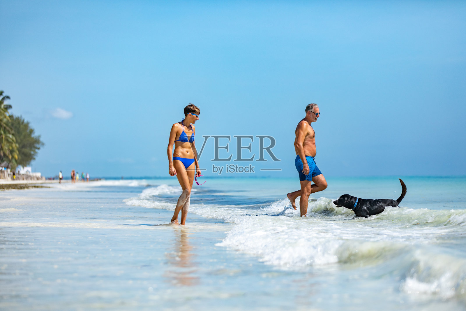 中年人夫妇和他们的狗探索海岸线照片摄影图片