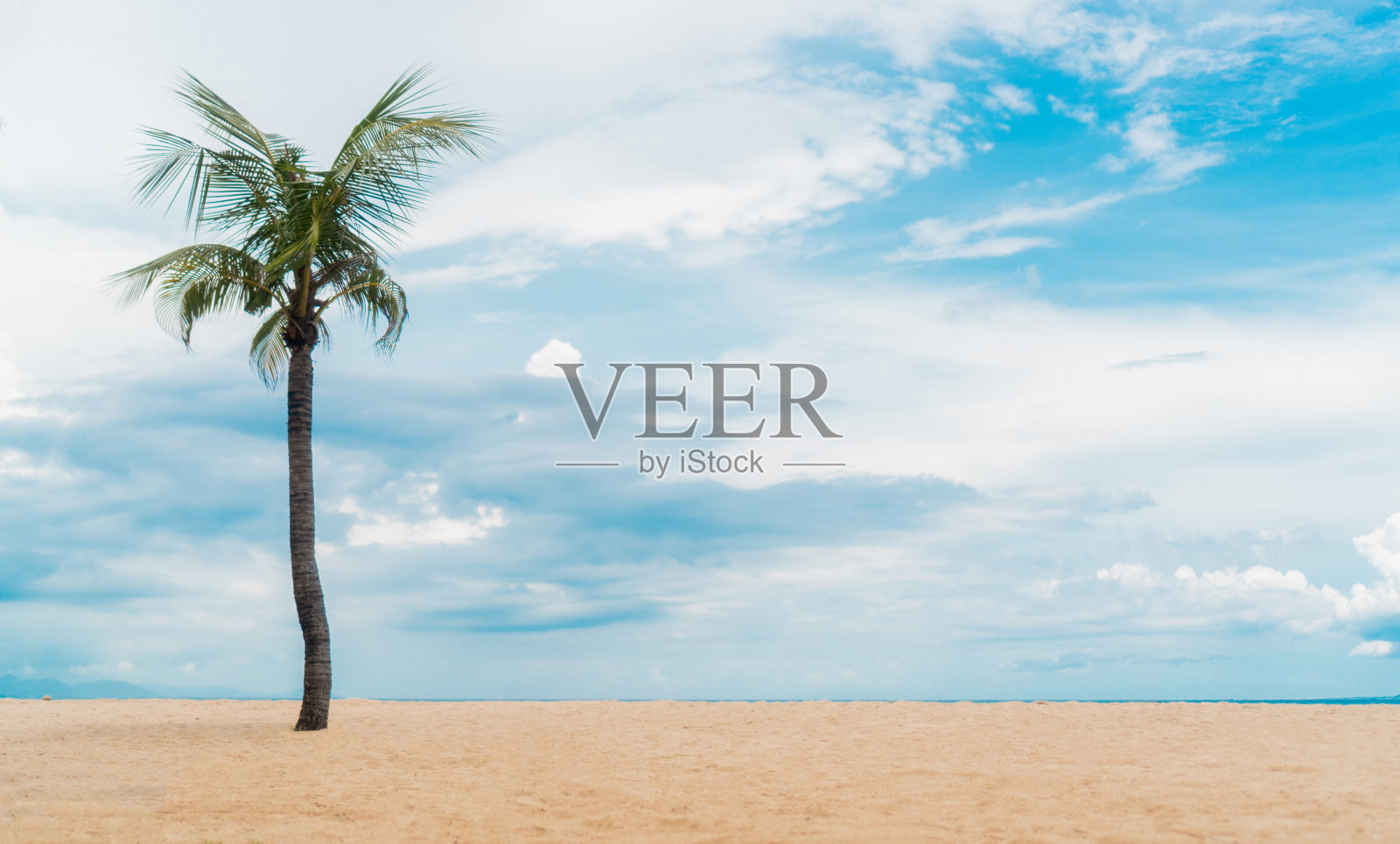 棕榈树巴厘岛照片摄影图片