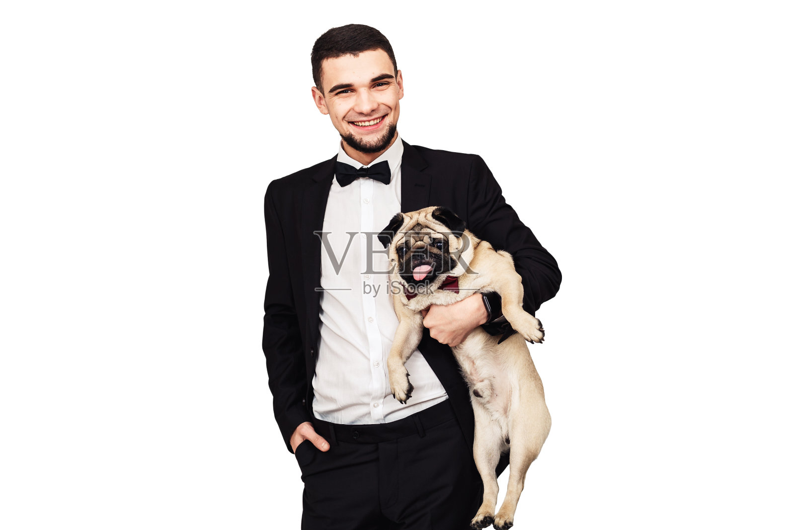 长舌头的狗。有趣的哈巴狗和他的主人做有趣的嘴套照片摄影图片