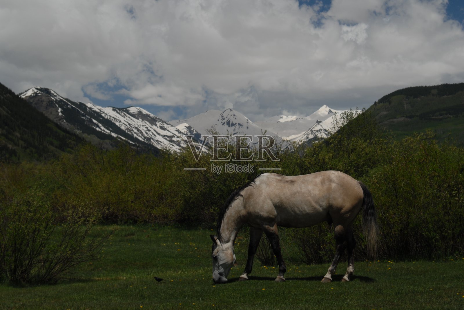 科罗拉多山脉照片摄影图片