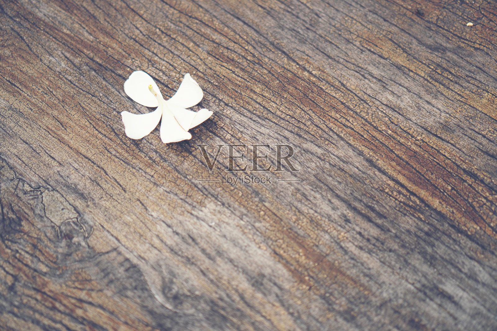 抽象的纹理背景的老木材照片摄影图片