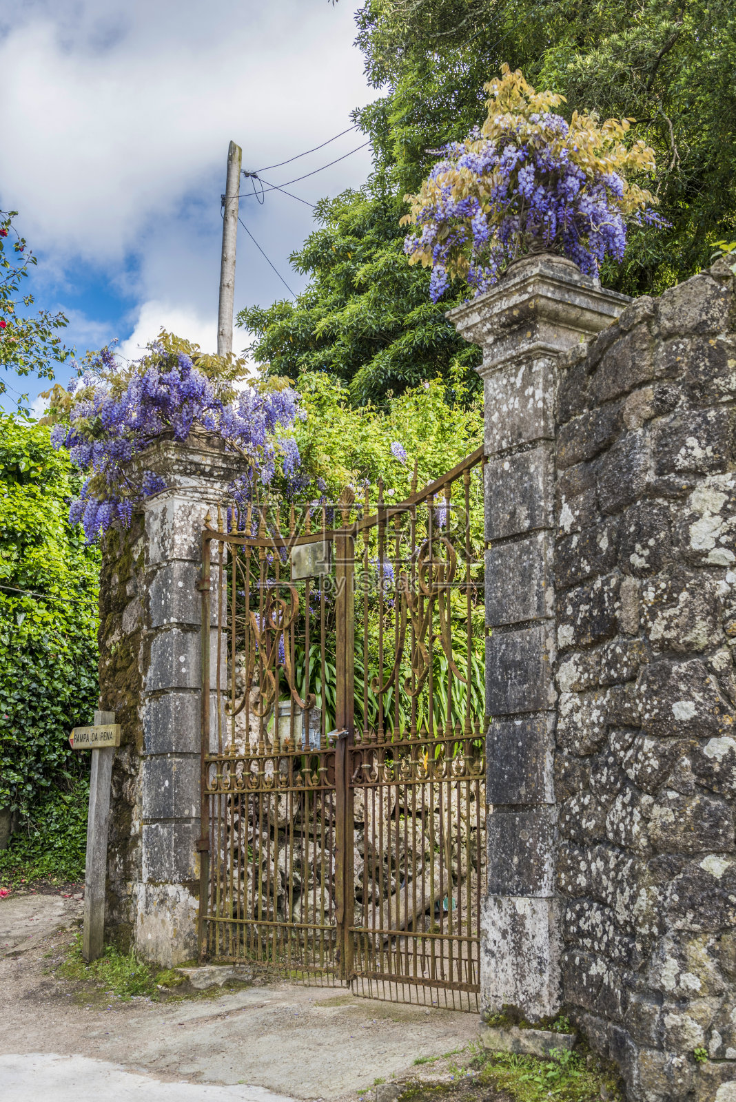 古老的大门附近的金塔达Regaleira紫藤照片摄影图片